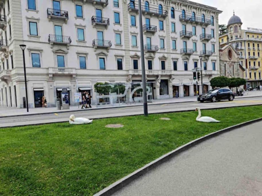Appartamento Urban Flat Lugano Esterno foto